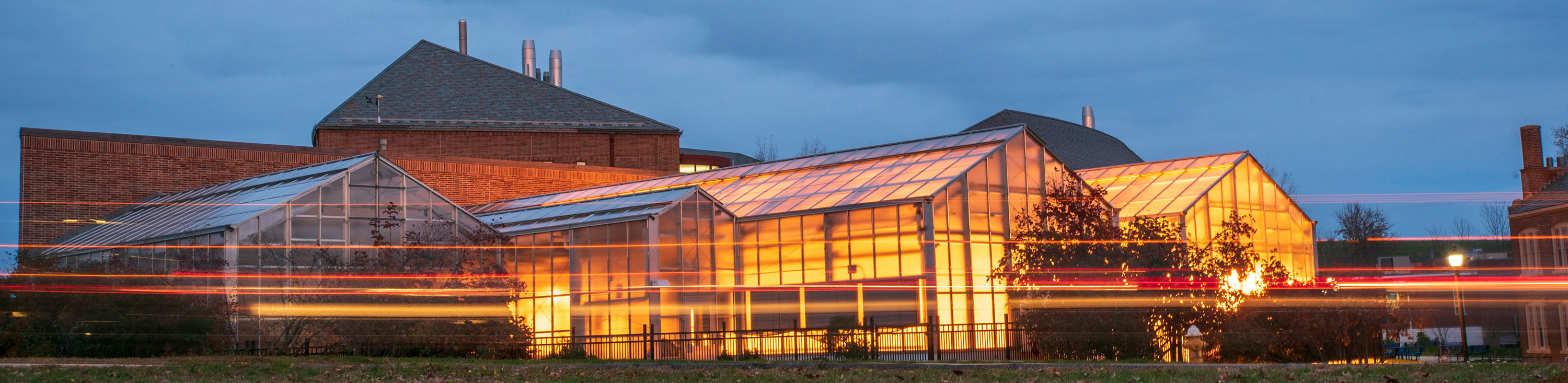 Uconn Landscape Photo